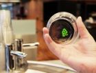 Предложена экологичная технология производства биопластика из отходов