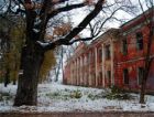 Тверские дубы включены в Национальный реестр старовозрастных деревьев
