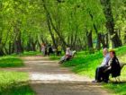 Власти Екатеринбурга запретили застройку пяти зеленых зон