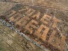 Воронежцы высадили 12 тысяч сосен в виде надписи 