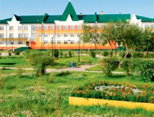 Предложена технология выращивания деревьев в арктическом регионе
