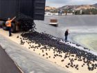 Пластиковые шары помогут Лос-Анджелесу избавиться от засухи