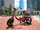 Создан электрический трицикл  Liberty Trike для пожилых людей