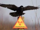 Сегодня исполняется 30 лет со дня катастрофы на Чернобыльской АЭС