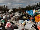Общественная палата РФ открыла горячую линию 