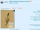 В МГУ создали один из крупнейших в мире цифровых гербариев