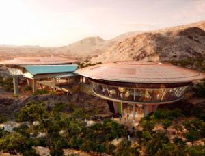 Крупнейший в мире ботанический сад появится в пустыне Омана