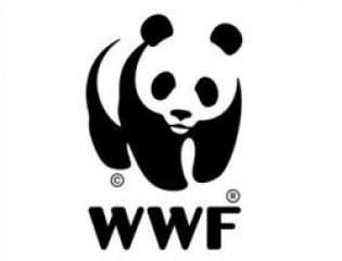 Всемирный фонд дикой природы (WWF) отмечает 50-летие со дня основания