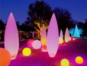 Экономичные светильники украсили Ботанический сад в Атланте
