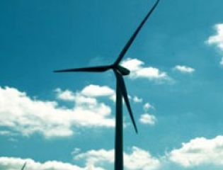 Китайские партнеры помогают Белоруссии осваивать ветроэнергетику