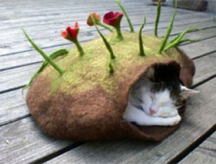 Необычные экодомики для домашних любимцев