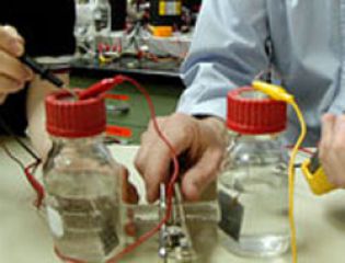 Ученые предложили метод, повышающий энергетическую продуктивность бактерий