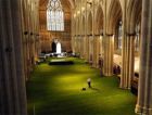 Зеленый газон в одном из самых крупных готических соборов Европы