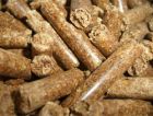 В Саратовской области состоялось открытие линии по производству пеллет 
