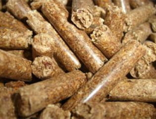 В Саратовской области состоялось открытие линии по производству пеллет