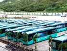 Мэр бразильского города заинтересовался электробусами
