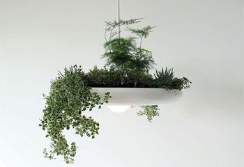 Футуристичный светильник-плантация Babylon Light
