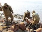 Начался набор участников экологической экспедиции на остров Белый