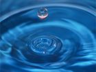 Международный водный стандарт призван уменьшить количество водных отходов и сократить потребление воды