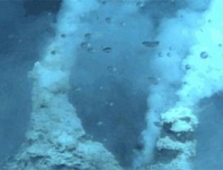 Ученые выяснили, что самая глубокая впадина на Земле обитаема
