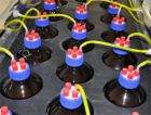 Первый эксперимент поставлен на лабораторной биогазовой установке Белгородского института