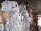 Подведены итоги Декады сбора вторичных материальных ресурсов в Воронеже