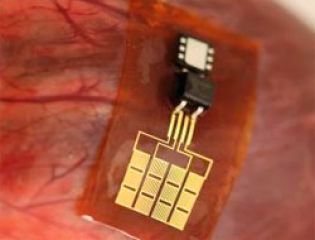 Сердце, генерирующее электричество: новые достижения медицины