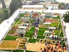 Новая ферма на месте старого заводского цеха в Китае