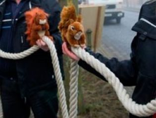 Пешеходные переходы для белок появились в Берлине