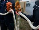 Пешеходные переходы для белок появились в Берлине