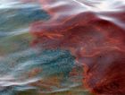 В США в природный заповедник вылилось 30 тонн нефтепродуктов