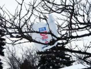 В Нью-Йорке введут плату за каждый пластиковый пакет, взятый в магазине