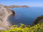 В Крыму организуют сегмент биоиндустрии в сельском хозяйстве