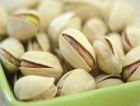 Турция планирует использовать новый вид биотоплива
