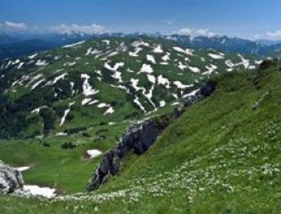 90 лет исполняется Кавказскому биосферному заповеднику