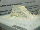 Представлен проект уникального горнолыжного комплекса из мусора